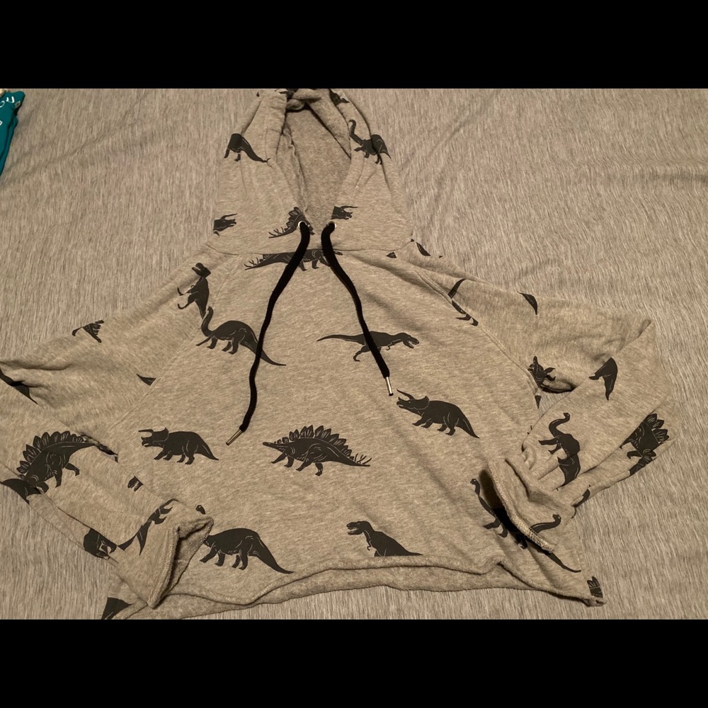 Dinosaur cropped hoodie